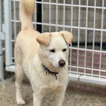 Thumbnail photo of Yooah #2