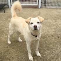 Thumbnail photo of Yooah #3