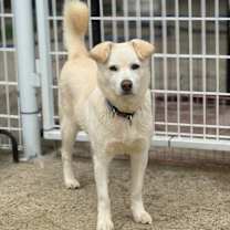 Thumbnail photo of Yooah #1