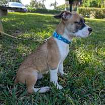 Thumbnail photo of Blake Parks #2