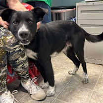 Thumbnail photo of McFlurry: At shelter #3