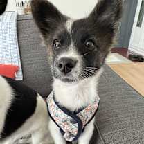 Thumbnail photo of WANDOO #1