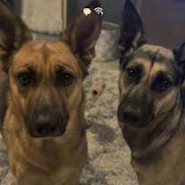 Thumbnail photo of Hannah #3