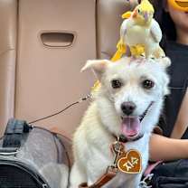 Thumbnail photo of JISU #3