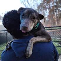 Thumbnail photo of Yuna #1