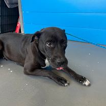 Thumbnail photo of Blessing #2