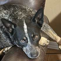 Thumbnail photo of Quinn #1