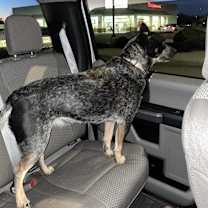 Thumbnail photo of Quinn #2