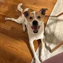 Thumbnail photo of Radford #2