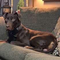 Thumbnail photo of Buster #4