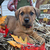 Thumbnail photo of Clark #1