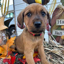 Thumbnail photo of Clark #2