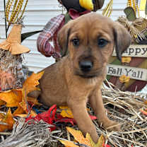 Thumbnail photo of Clark #4