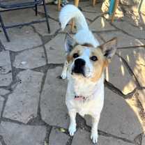 Thumbnail photo of Butters #3