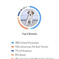 Thumbnail photo of Pugsley #2