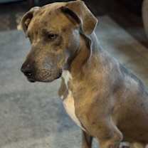 Thumbnail photo of Raider #2