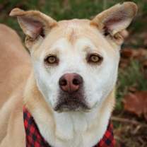 Thumbnail photo of Honey #4