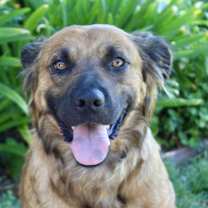 Thumbnail photo of Maggie #2