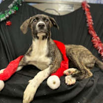 Thumbnail photo of Willowmeena #1