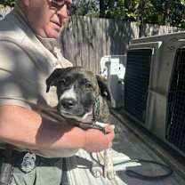 Thumbnail photo of Willowmeena #2