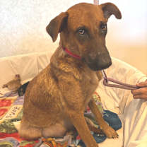 Thumbnail photo of Zola JuM #3