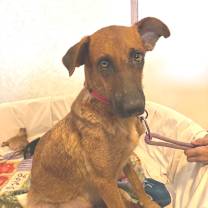 Thumbnail photo of Zola JuM #2