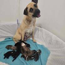 Thumbnail photo of Frances JuM #4