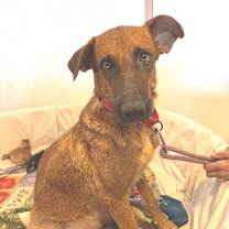 Thumbnail photo of Zola JuM #4