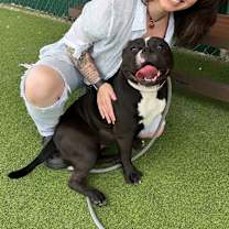 Thumbnail photo of Preciosa #1