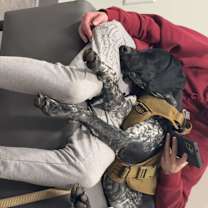 Thumbnail photo of Ruger #2