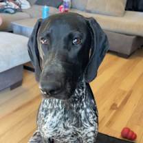 Thumbnail photo of Ruger #3