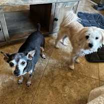 Thumbnail photo of Tia #3