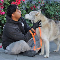 Thumbnail photo of Chulo von Chamerau #4