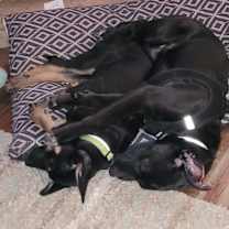 Thumbnail photo of Scratch #3