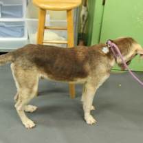 Thumbnail photo of Smiley #3