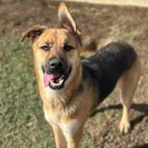 Thumbnail photo of Lili #1