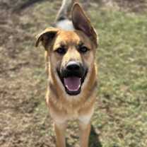 Thumbnail photo of Lili #2