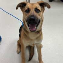 Thumbnail photo of Lili #3