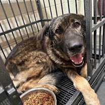 Thumbnail photo of BABY HUEY #2