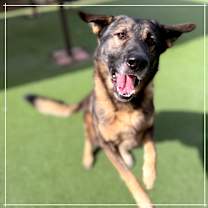 Thumbnail photo of BABY HUEY #3