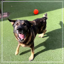 Thumbnail photo of BABY HUEY #4