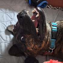 Thumbnail photo of Chaka Khan #3