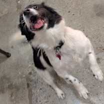 Thumbnail photo of Gretta #3