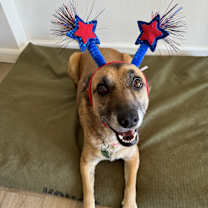 Thumbnail photo of Kona #1