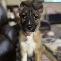 Thumbnail photo of Zaria #2