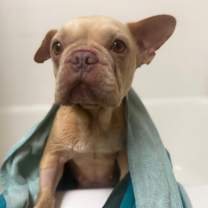 Thumbnail photo of Penelope #3