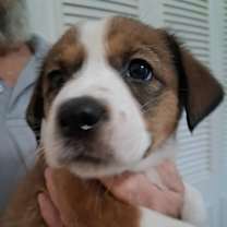 Thumbnail photo of Bernice JuM/GC #3