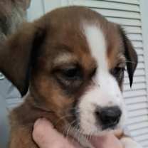 Thumbnail photo of Bernice JuM/GC #4