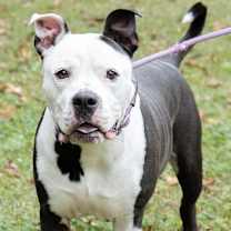 Thumbnail photo of Esko #2