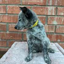 Thumbnail photo of No name #1